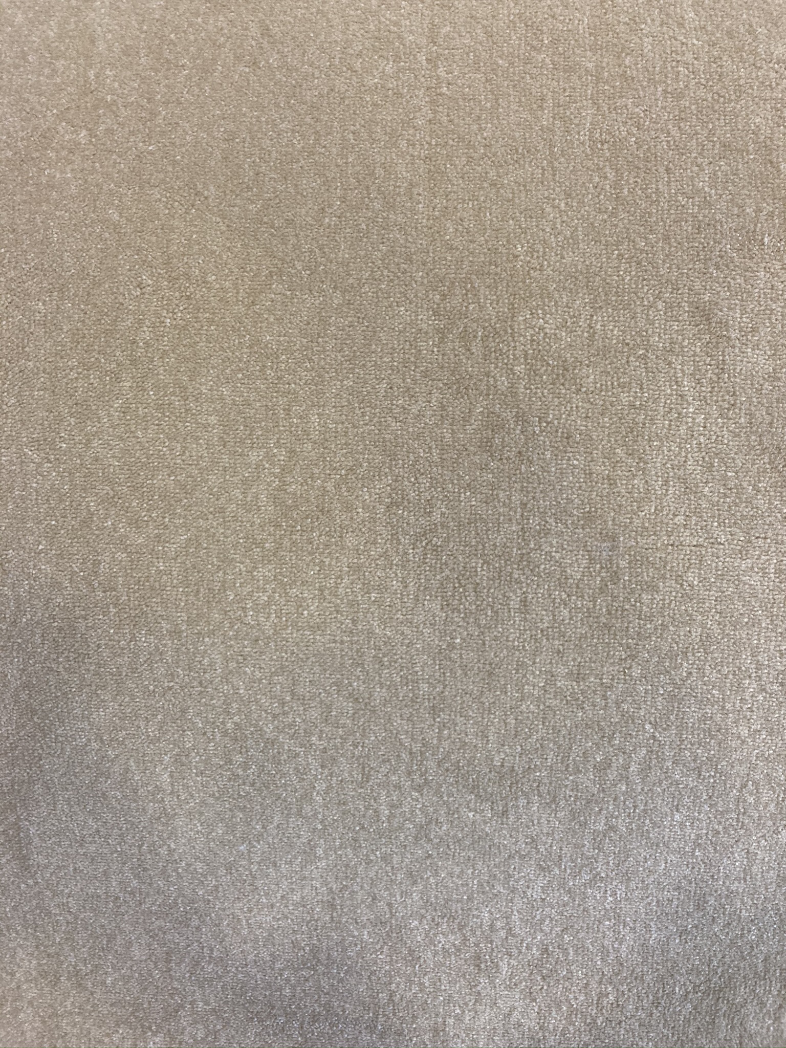 Windsor Velvet 292 Antique Gold - Kildare Carpets